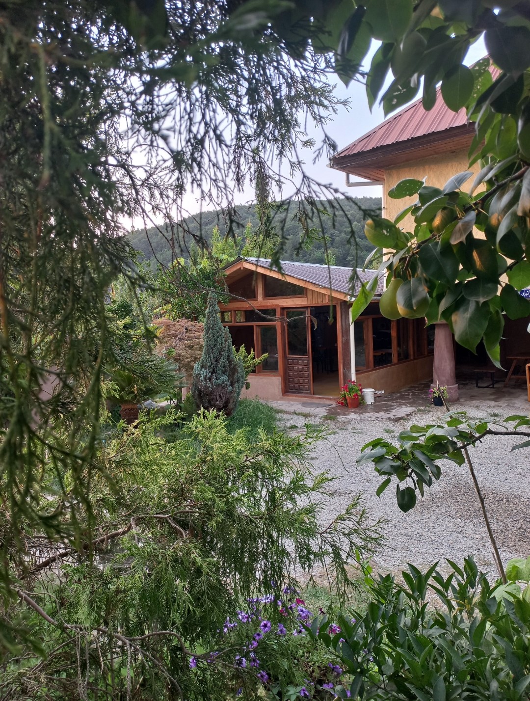 دیدار واحد شالیزار