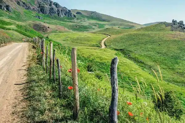 نمایی از مسیر گیاه کوه زیبا